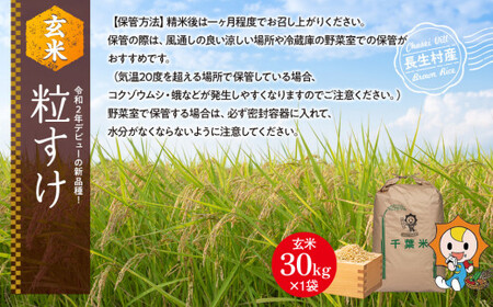 H04-B02 粒すけ（玄米30kg）令和8年産