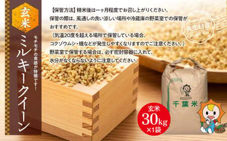 H04-B03 ミルキークイーン（玄米30kg）令和8年産