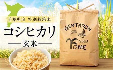 コシヒカリ❣️特別玄米 20kg コシヒカリ❣️特別玄米 20kg