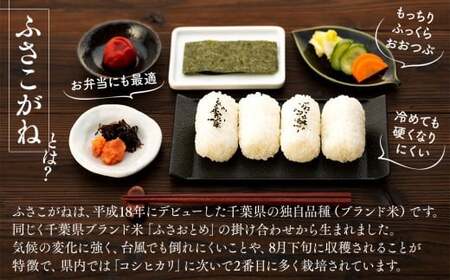 E01-B02-00 令和7年産 長生産ふさこがね(20kg・精米)