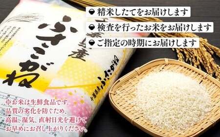 E01-B02-00 令和7年産 長生産ふさこがね(20kg・精米)