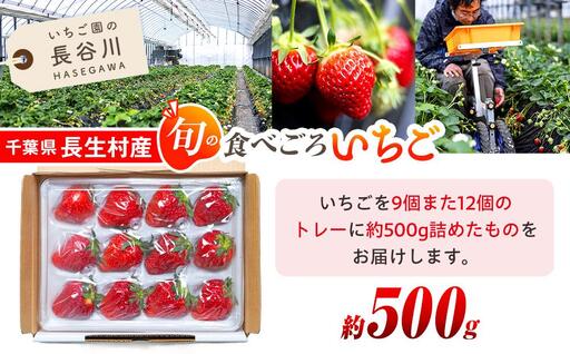 AK00-001 いちご トレー(500g×1個)