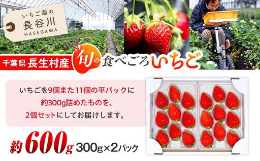 AK00-002　いちご 平パック2個セット（300g×2個）