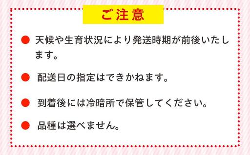 AK00-002　いちご 平パック2個セット（300g×2個）