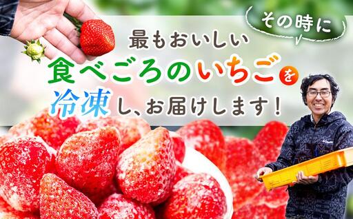 AK00-003 冷凍いちご 2袋セット
