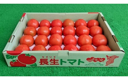 【数量限定/2月発送】千葉県長生トマト4kg SHK003