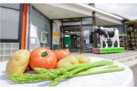 T01021 道の駅たけゆらの里おおたき特選詰め合わせA