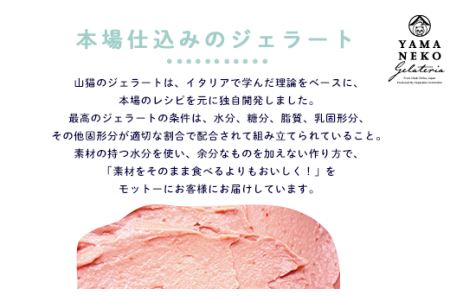 W02401 野菜ソムリエのイタリアンジェラート専門店＜山猫ジェラート＞おすすめ１２個セット