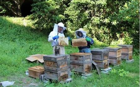 B507 御宿産純粋はちみつD