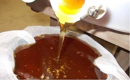 B507 御宿産純粋はちみつD