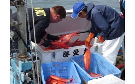 B312 御宿産釣りきんめ鯛の煮つけＡ