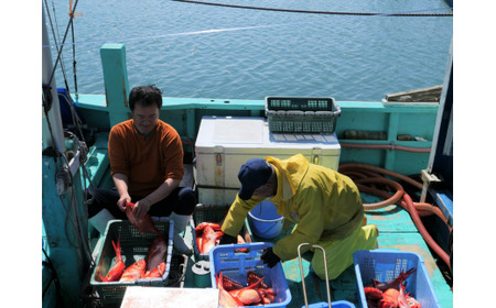 G706 第八福市丸ペア宿泊券