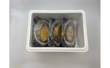 D208 冷凍蒸しアワビA