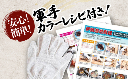 活〆生食用伊勢海老(冷凍)1370g(250~300g)×5尾 ONJB034