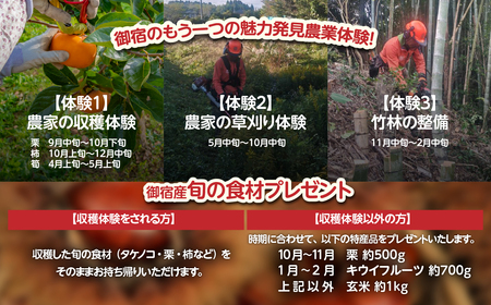 農業体験（海だけじゃない、御宿のもう一つの魅力発見） ONJAE001