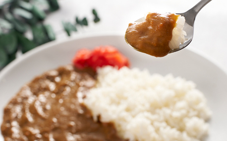 レトルトカレー3点セット【1621028】