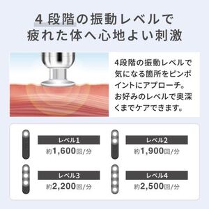 ドクターエア エクサガンポケット グレイッシュブルー コードレス ふるさと納税 千代田区_家電製品 美容・健康家電  DOCTORAIR_【1635628】