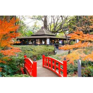 ホテルニューオータニ　石心亭　35,000円分お食事券【1701890】