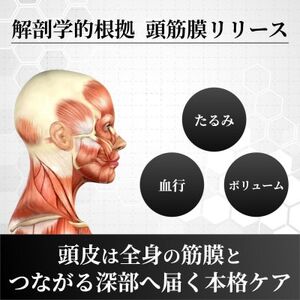 【東大卒毛髪専門医監修】メディカルヘッドスパ120分/解剖学的根拠に基づいた技術で頭皮ケア|千代田区【1704339】