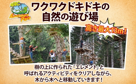 NAC ニセコアドベンチャーセンター アドベンチャーパーク ペアチケット NAC ニセコアドベンチャーセンター アドベンチャーパーク ペアチケット