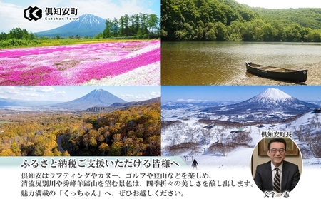 ニセコ 全山共通 リフト券 All Mt.Pass 1日券 【1枚】 2024-2025シーズン スキー リフト券 スポーツ 羊蹄山 雪 パウダースノー ニセコ 倶知安町 スキー場 冬山 雪山 ウインタースポーツ スノボ 