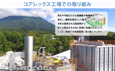 北海道 定期便 4ヶ月毎全3回 とけまるくん ボックス ティッシュ 10箱 ポケット ティッシュ 96個 水に流せる ペーパーリサイクル エコ 香りなし 厚手 雑貨 生活必需品 備蓄 送料無料