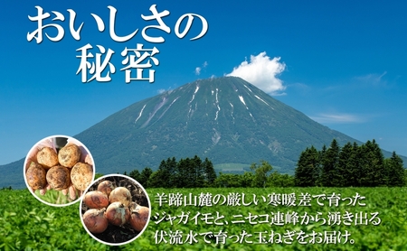 北海道産 じゃがいも キタアカリ5kg 玉ねぎ 3kg Lサイズ 計約8kg ジャガイモ 北あかり 馬鈴薯 ポテト 玉葱 常備野菜 根菜 産直 JAようてい 送料無料 北海道 倶知安町