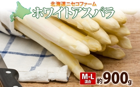【 2026年 発送 】 北海道産 アスパラガス ホワイト 約 900g  L - 2L サイズ 混合 アスパラ 旬 朝採り 新鮮 お取り寄せ 産地直送 産直 野菜 農作物 詰め合わせ 国産 北海道 倶知安町 