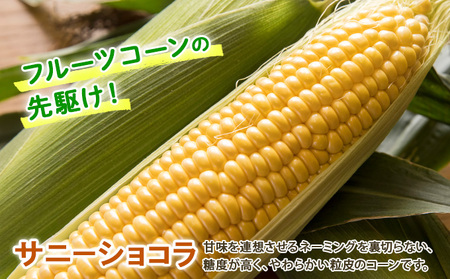 【 2025年 発送 】 先行予約 北海道産 とうもろこし サニーショコラ 計18～20本 10kg前後 L-LL 旬 スイート コーン イエロー トウモロコシ お取り寄せ 産地直送 野菜 とうきび 