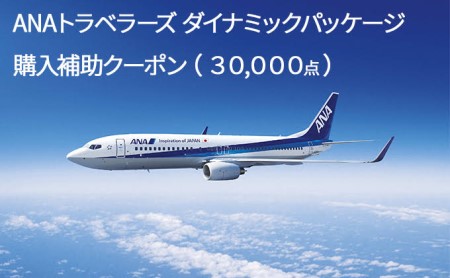北海道倶知安町 ダイナミックパッケージ「ANAトラベラーズ ダイナミックパッケージ」購入補助クーポン(30,000点)