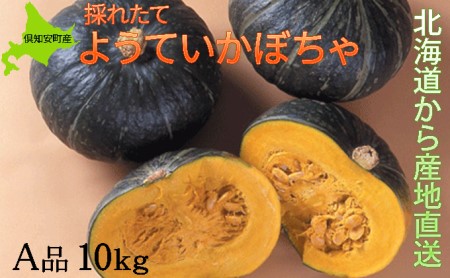 ようていかぼちゃA品10kg≪北海道倶知安産≫