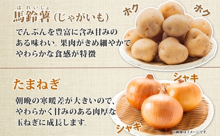 【2026年発送】 オーガニック じゃがたま BOX 約10kg 有機栽培 じゃがいも 玉ねぎ 北海道 倶知安 ニセコグリーンファーム