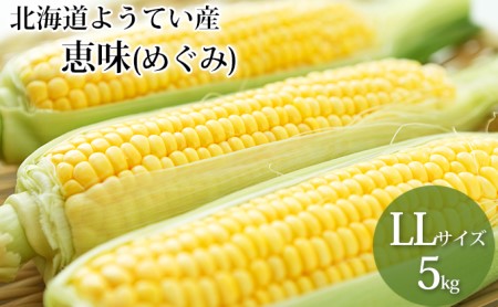 北海道ようてい産スイートコーン!【恵味(めぐみ)】LL5kg