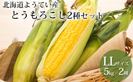 北海道ようてい産スイートコーン!2種食べ比べ(LL)10kg