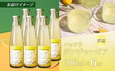 北海道 自家製 ジンジャービア 200ml×6本 HAKKO GINGER 発酵 ジンジャー ビール 生姜 レモン 辛口 ノンアルコール 炭酸 ヘルシー