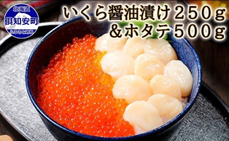 お店で手作り 北海道産いくら醤油漬 250g と北海道産のホタテ貝柱玉冷 刺身用 500g イクラ 魚卵 海鮮 ほたて ホタテ おつまみ 酒の肴 魚介 取り寄せ グルメ 北海道倶知安町 ふるさと納税サイト ふるなび
