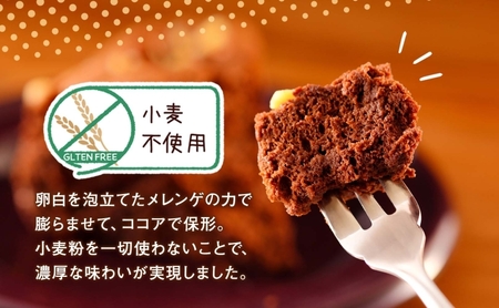 北海道 ガトーショコラ くるみ ホール 15cm×1個 5号 ショコラ 洋菓子 焼き菓子 おやつ デザート 誕生日 記念日 グルテンフリー 冷凍 お菓子のふじい ニセコ 送料無料 北海道 倶知安町 スイーツ 食後 ティータイム ナッツ ホールケーキ 5号サイズ 