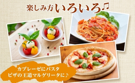 【2026年発送】北海道 オーガニック カラフル ☆ ミニトマト ＆ スイートバジル 約1kg 詰め合わせ プチトマト バジル オーガニック 有機栽培 JAS 産直 産地直送 有機ミニトマト 