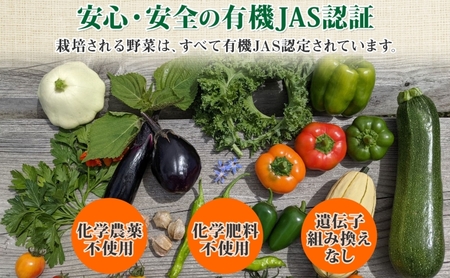 【2026年発送】北海道 オーガニック カラフル ☆ ミニトマト ＆ スイートバジル 約1kg 詰め合わせ プチトマト バジル オーガニック 有機栽培 JAS 産直 産地直送 有機ミニトマト 