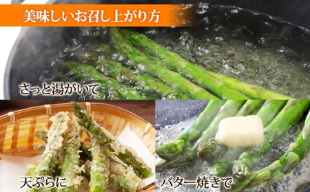 【 2025年 先行予約 】 北海道産 グリーン アスパラガス 約1kg 2L アスパラガス アスパラ 旬 朝採り 野菜 新鮮 野菜 お取り寄せ 産地直送 産直 野菜 農作物 詰め合わせ アスパラ 国産 野菜 しりべしや 