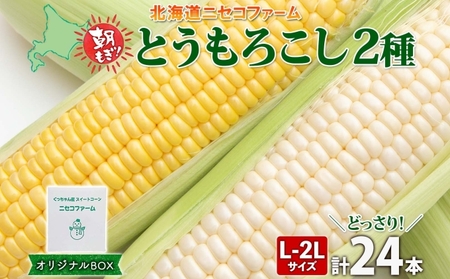 北海道産 とうもろこし 2種 計24本 L-2L サイズ混合  味来 ロイシーコーン 食べ比べ セット 旬 朝採り 新鮮 トウモロコシ とうきび お取り寄せ 産地直送 野菜 しりべしや 送料無料 北海道 倶知安町