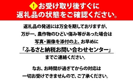 【 2026年 発送 】 北海道産 とうもろこし 2種 計24本 L-2L サイズ混合 味来 ロイシーコーン 食べ比べ セット 旬 朝採り 新鮮 トウモロコシ とうきび お取り寄せ 産地直送 野菜 しりべしや 送料無料 