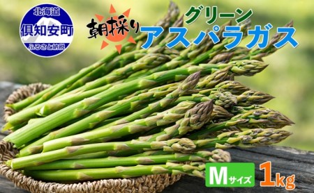 北海道 アスパラガス グリーン 1kg セット Mサイズ 春 限定 旬 朝採り 新鮮 野菜 アスパラ ギフト gift 産地直送 産直 お取り寄せ 詰め合わせ 送料無料 倶知安町 旬の食材 春野菜 柔らかい 食べ物 国産 