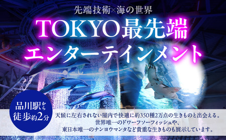 マクセル アクアパーク品川 年間パスポート 小・中学生 │ 東京 チケット 水族館