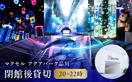 マクセル アクアパーク品川 閉館後貸切 │ 東京 チケット 水族館