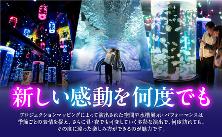 マクセル アクアパーク品川 閉館後貸切 │ 東京 チケット 水族館