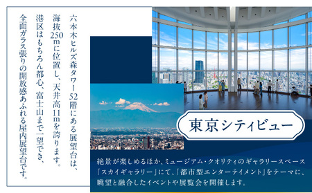 【六本木ヒルズ ペア体験】森美術館・東京シティビュー／グランド ハイアット 東京 食事券