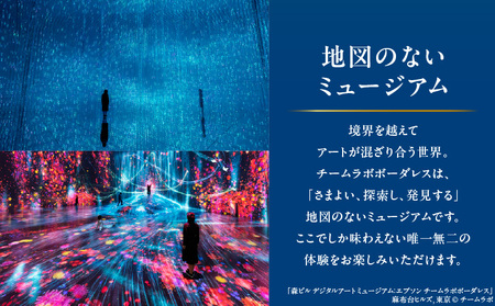 【ヒルズ周遊（麻布台・虎ノ門）ペア体験】チームラボボーダレス／アンダーズ東京 ザ タヴァン食事券