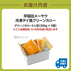 早稲田メーヤウ冷凍タイ風グリーンカリー 0093-002-S05