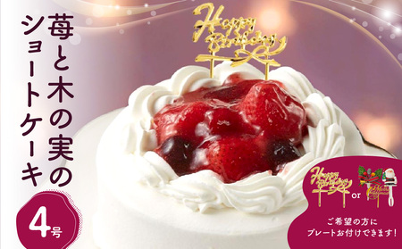 苺と木の実のショートケーキ４号 0105-004-S06